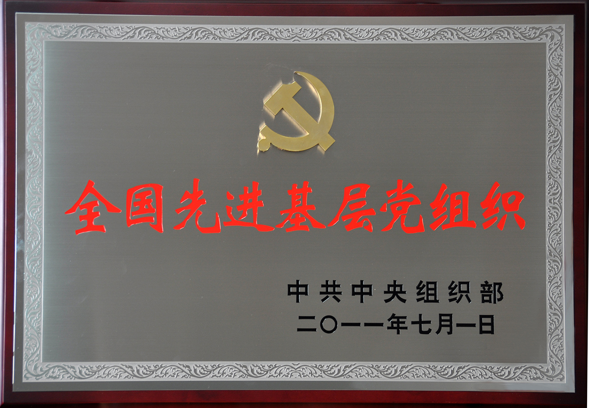 2011年7月，紅豆集團(tuán)黨委榮獲“全國先進(jìn)基層黨組織”稱號